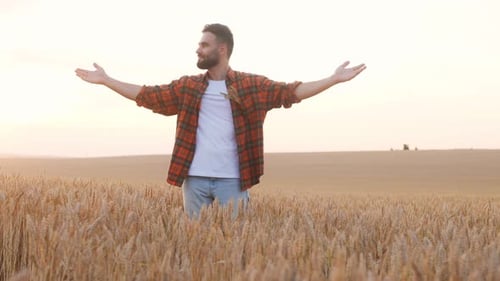 Freedom conception, hands to the sides. Male farmer is on the wheat agricultural field.