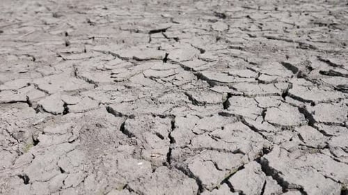 Dry Lake Bed with Extensive Cracking