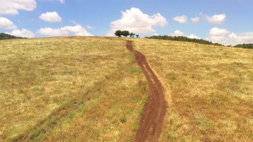 Rural Hilltop with a trail leading to Three small trees, Aerial view.