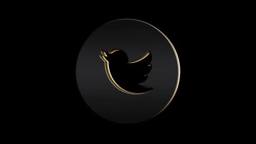 Modern 3D Twitter Social Media Logo Animation
