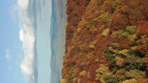 Flyover above forested mountain in autumn towards town in distant valley. Vertical video