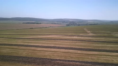 Tractor working on the field doing tillage with cultivator