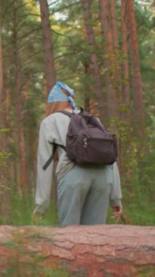 Hikers Sharing Joyful Moment on Fallen Tree in Peaceful Forest