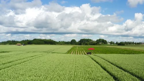 Agricultural Field With Tractor on Sunny Day