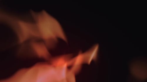 Flickering Flames Against a Black Background