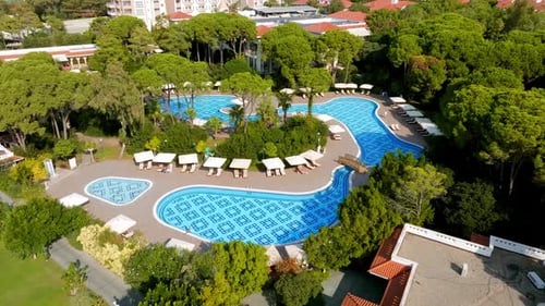 Luxurious Beach Resort with Swimming Pool and Beach Chairs and Palm Trees