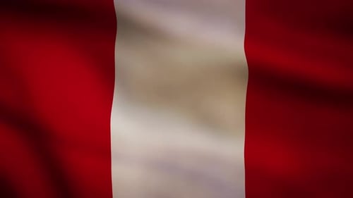 Realistic Waving Flag Motion Background for Patriotic and International Themes