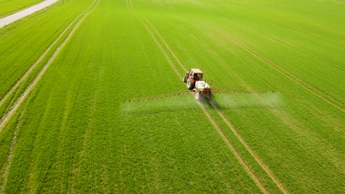 Tractor Spraying Crops Growing in Agricultural Field