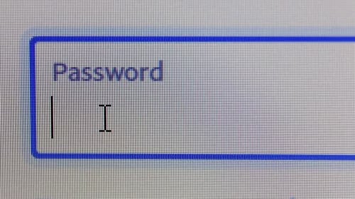 the Cursor Finds a Place to Enter the Password and the Password is Entered