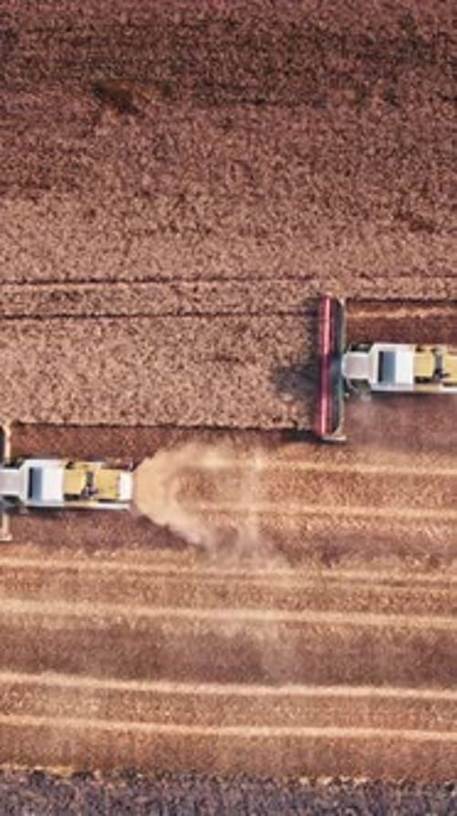 Vertical View Of Harvesting in Agricultural Field