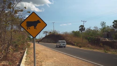 Sign of be careful there is a cow crossing. Wild animals are prohibited from crossing