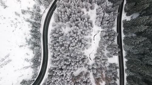 Breathtaking Scenic Aerial View of a SnowCovered Forest and a Winding Curved Road