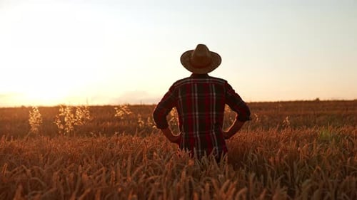 Rear view of a man in a hat and checkered shirt standing in the field.