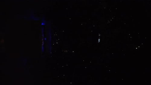 Aerial View of a Concert Crowd at Night