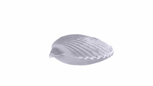 Stylized White Shell-Shaped Object