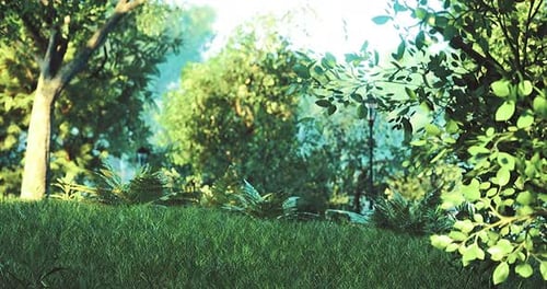 Lush Green Landscape with Sunlight Filtering Through Trees in a Serene Park