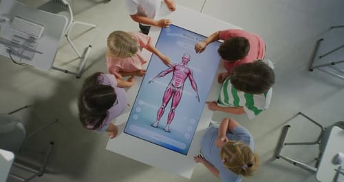 Children Learning About Human Anatomy on Interactive Table