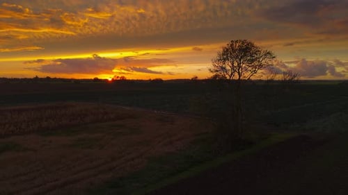 Atmospheric summer autumn sunset with waving wild grass in sunlight, rural meadow or field in