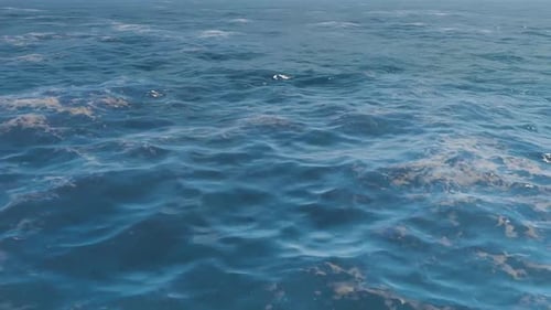 Ocean Water Calm water