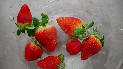 Fresh Strawberries in Water