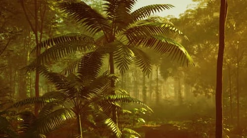 Lush Green Foliage in Tropical Jungle