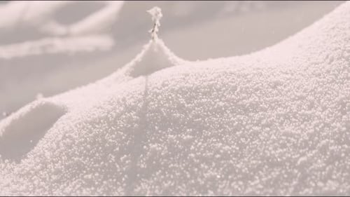 Detail of snow and falling snow.