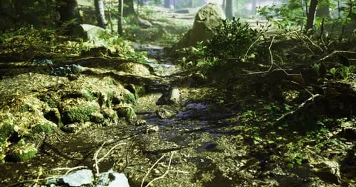 Serene Forest Stream with Lush Greenery and Mossy Rocks in Soft Light