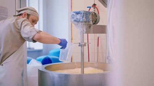 milk mixing at cheese factory cheese maker checks cheese by hand in large tank Pasteurization