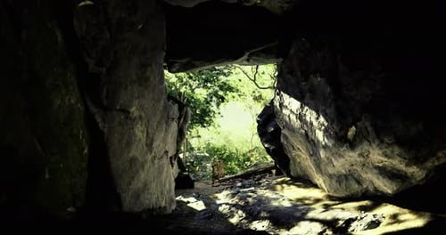 Exploring a Rocky Cave Opening Leading to a Lush Forest in Daylight