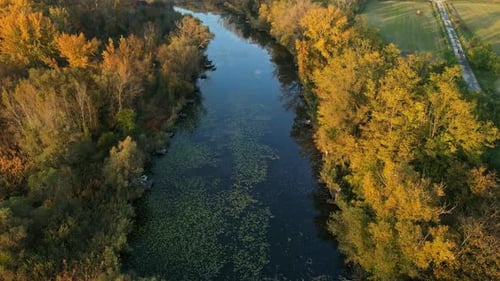 Flying with a drone over a serene river surrounded by autumnal trees with golden and green foliage.