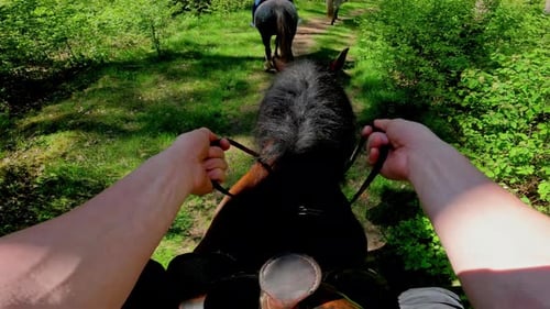 Riding a horse on a trail ride with friends in the countryside - first person view