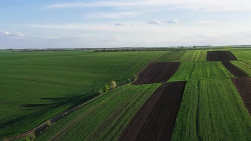 Distant aerial view of beautiful agricultural field at daytime. Rural landscape