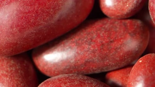 Macro Footage of Red Kidney Beans