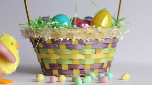 Easter Chick nimmt keine Rücksicht auf Bonboneier