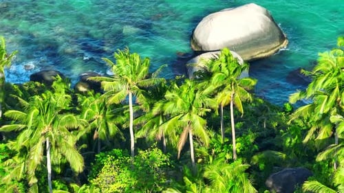 Stunning coconut trees and blue sea water in tropical island. Thailand.