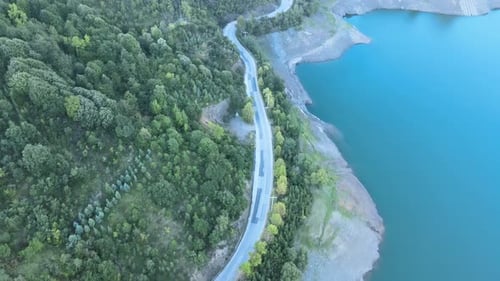 cinematic road forest lake