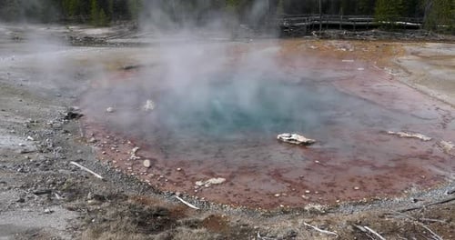 Hot Spring in Yellowstone National Park