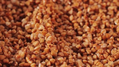 Close Up of Cooked Buckwheat Grains Food Footage