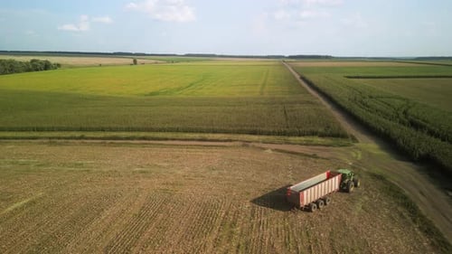 Ensileuse, hachage du maïs pour l'ensilage