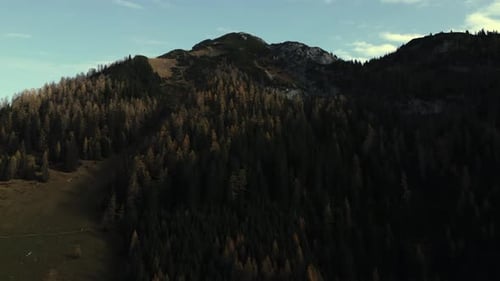 Aerial view of tree covered mountain, Austria.