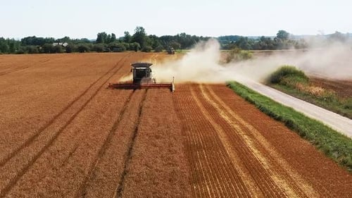 Drohnenschuss fliegt über Mähdrescher, die auf Weizenfeld arbeiten. Konzept der Lebensmittelindustrie.