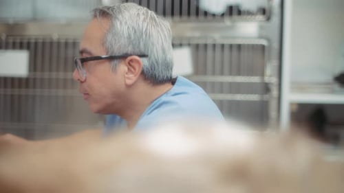 A vet looking at the screen monitor at the clinic