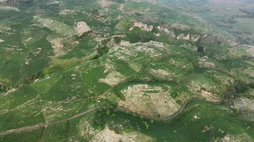 Aerial view of beautiful green hill landscape