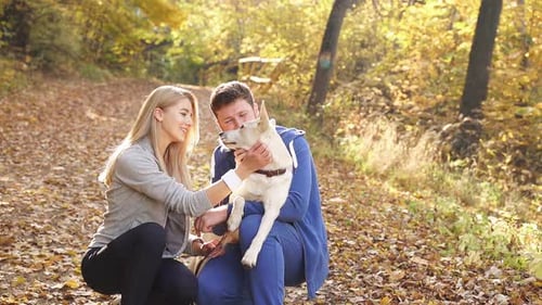 a Beautiful Married Couple in the Autumn Forest Hugs and Strokes Their Beloved Dog While Walking