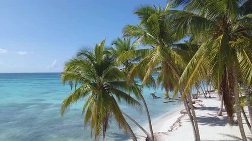 Breathtaking drone view of the Caribbean coast - crystal-clear turquoise water, palm-lined shore,