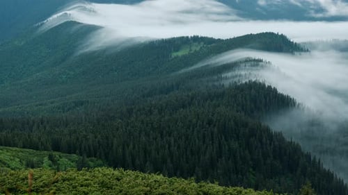 Majestic Carpathian Mountains. Beautiful landscape of untouched nature