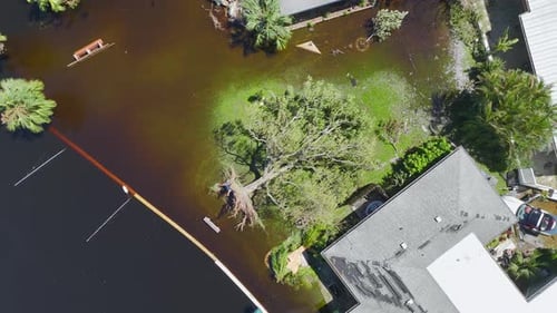 Hurricane Ian Flooded House and Fallen Tree in Florida Residential Area