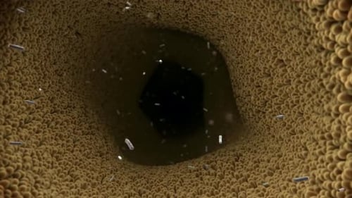 Microscopic view of bacteria and cells in a dark environment