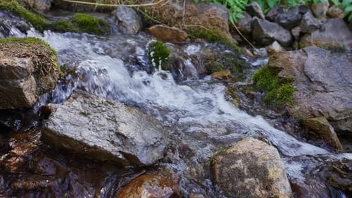 Nahaufnahme eines rauschenden Baches über moosbedeckte Felsbrocken