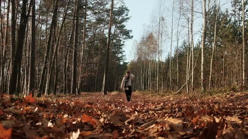Female walking on path in autumn forest at sunny day, slow motion